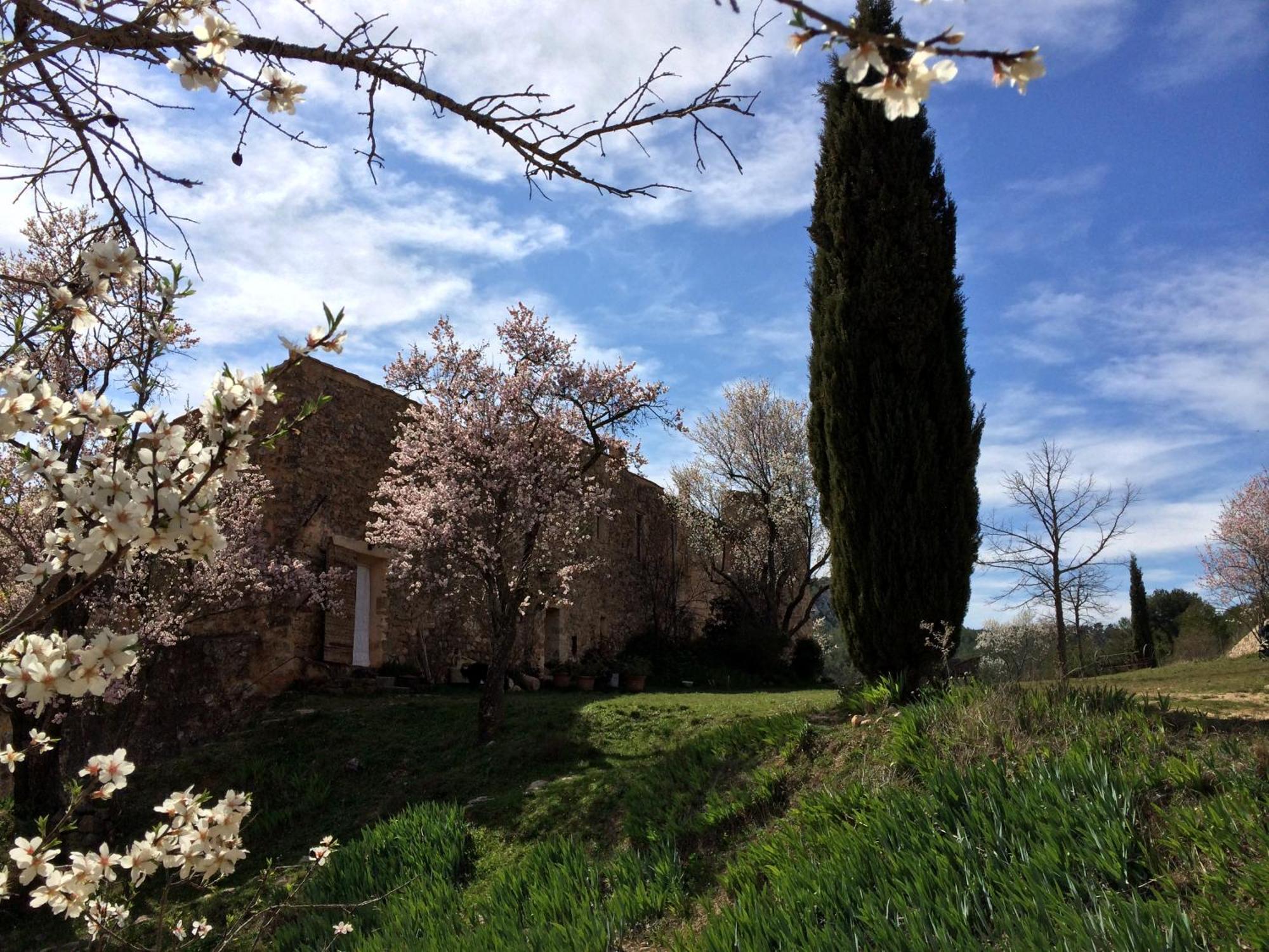 Maison A Aix En Provence Au Pied De La Sainte Victoire Beaurecueil Exterior foto